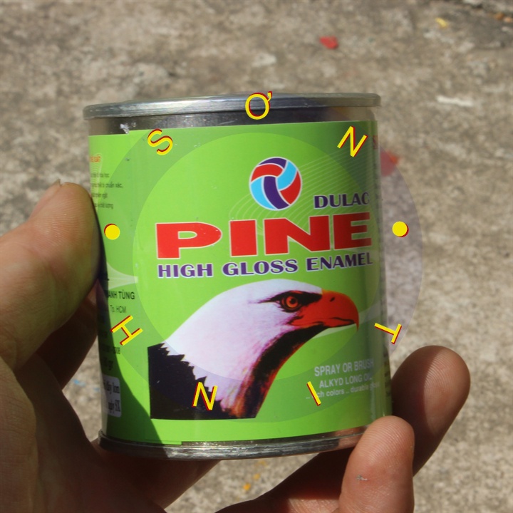 Sơn dầu con ó Pine lon 80 gram