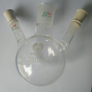 Bình cầu đáy tròn 2 nhánh 250ml