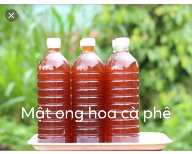 Com bo 1 lít Mật ong + 1 kg Tinh bột nghệ