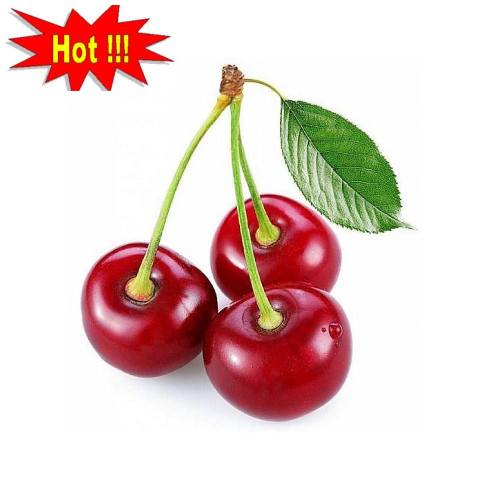 Hạt giống Anh đào (Cherry) (10 hạt)