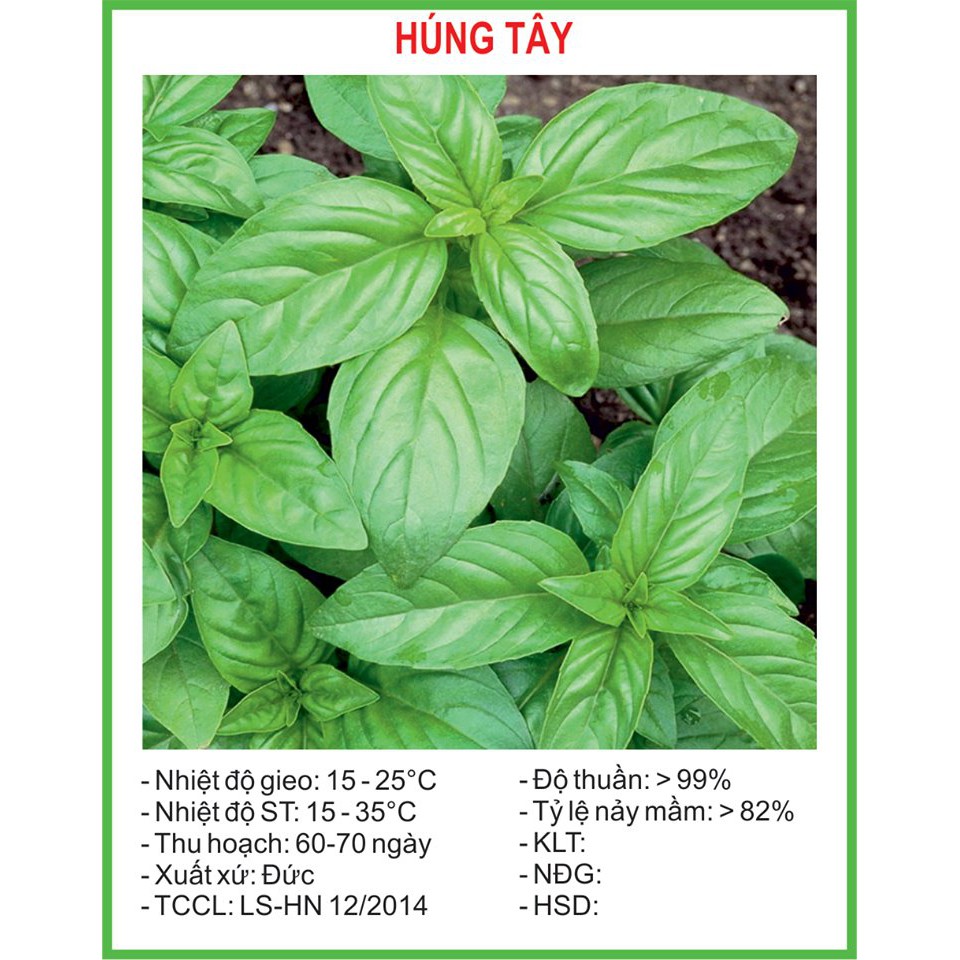 Hạt Giống Húng tây 0.1gram/gói