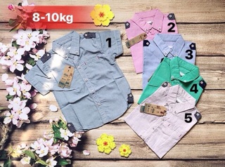 Combo 3 áo sơmi bé trai💥8-22kg