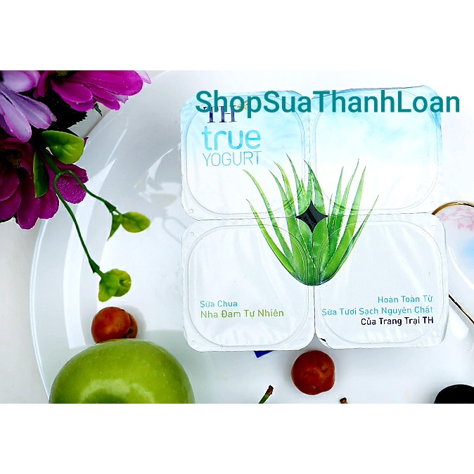 Sữa Chua Ăn TH True YOGURT Nha Đam Tự Nhiên - Lốc 4 hộp X 100g