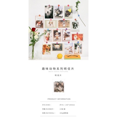Set 15 ảnh dán tường trang trí phòng, 15 tấm postcard decor phòng hình chó mèo