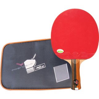 Vợt bóng bàn 729 6035