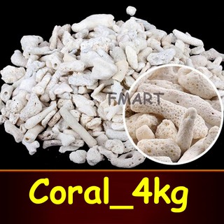 San Hô Vụn túi 4KG vật liệu lọc cho bể cá, trang trí bể cá - sanho4kg