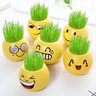 Chậu cây để bàn mini mặt cười