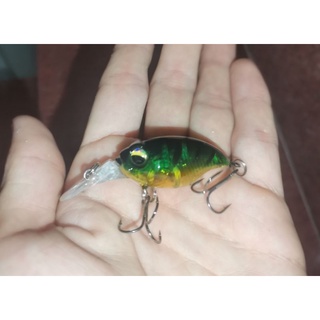 Mồi lure chubby câu Lóc, rô, tráp vv...