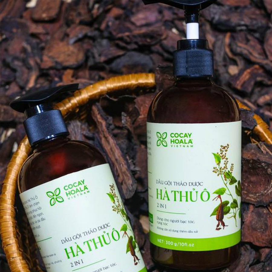 👑[ SALE HÔM NAY ] Dầu Gội Thảo Dược Hà Thủ Ô 2in1 🌻 | BigBuy360 - bigbuy360.vn