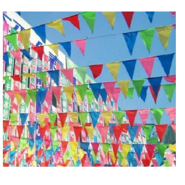 Cờ đuôi nheo 10m loại to