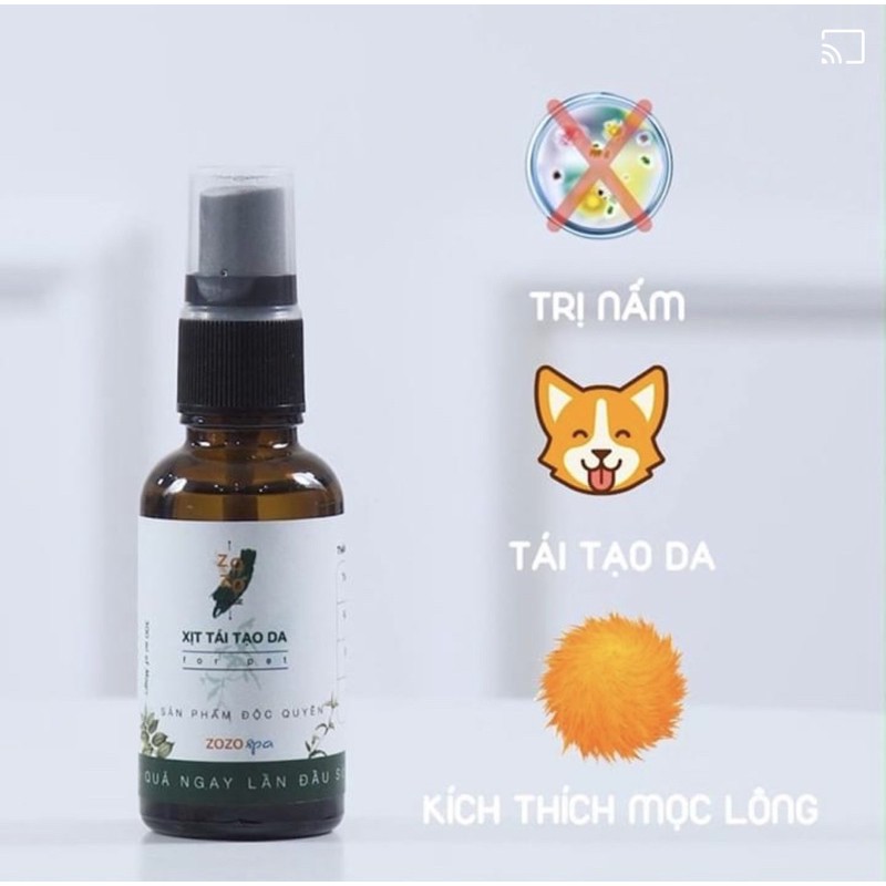 Xịt Tái Tạo da đặc trị viêm da, nấm vảy gàu