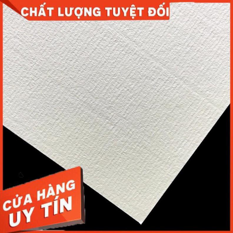 Giấy vẽ Canson TRUYỀN THỐNG Dày 250gsm (Medium) - Giấy vẽ màu nước, giấy vẽ chì, marker...