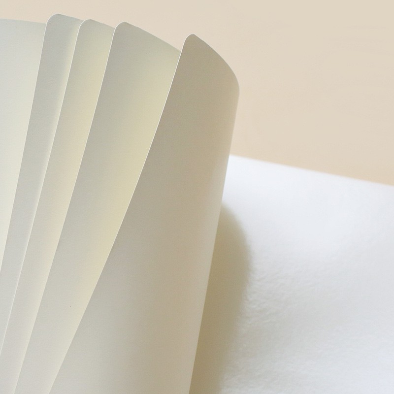 [Tặng Dụng Cụ Đẩy Sticker] Sổ Thu Phục 40 Tờ Giúp Bảo Vệ Hình Dán Băng Keo Trang Trí Sticker Deco Zaomo Cây Đâu To