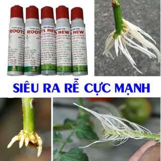 Phân bón kích rễ cây