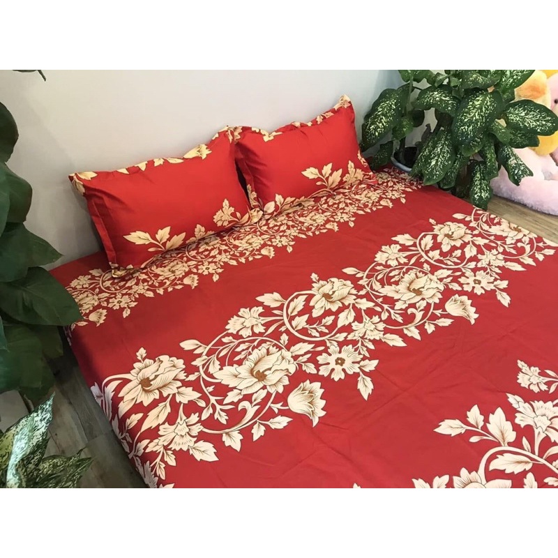 BIG SALE : Set hè chăn ga gối cotton 3D