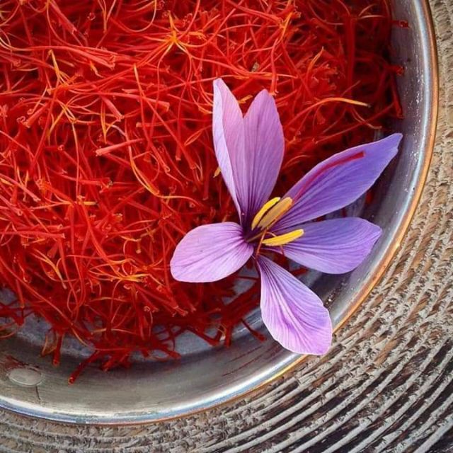 Nhụy hoa nghệ tây - Saffron Bahraman (Công ty TNHH nhập khẩu Tây Á)