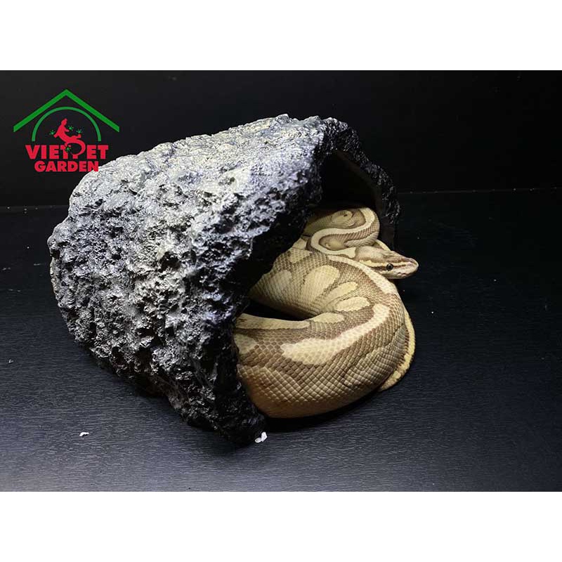 Hang trú ẩn bằng đá cho bò sát | Vietpetgarden | NS01 | 26x23x13cm |