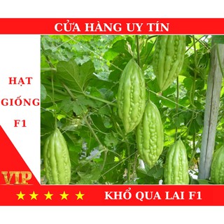 Hạt Giống Khổ Qua Lai F1 Sai Trái