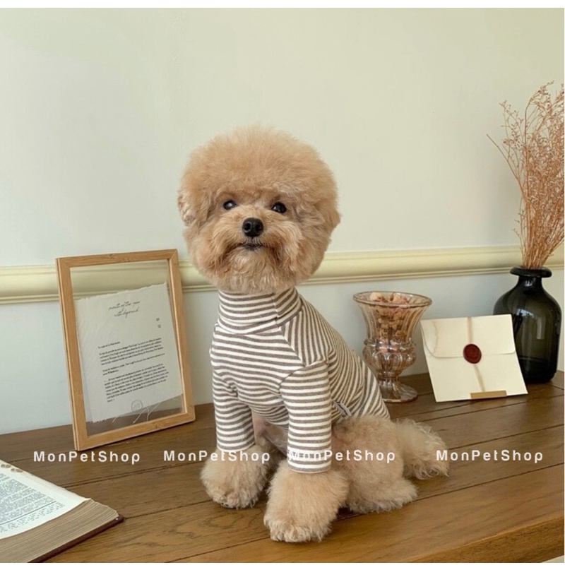Set áo Hàn Quốc cho chó mèo siêu xinh