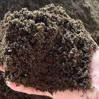 [Có sẵn] [Ảnh thật] Phân Trùng Quế 2 Kg (Phân trùng quế cao cấp)