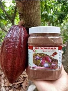 Bột ca cao nguyên chất Daklak