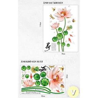 Decal dán tường Hoa sen hồng