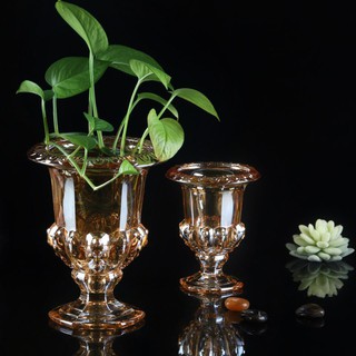 Ly thủy tinh cắm hoa ánh vàng