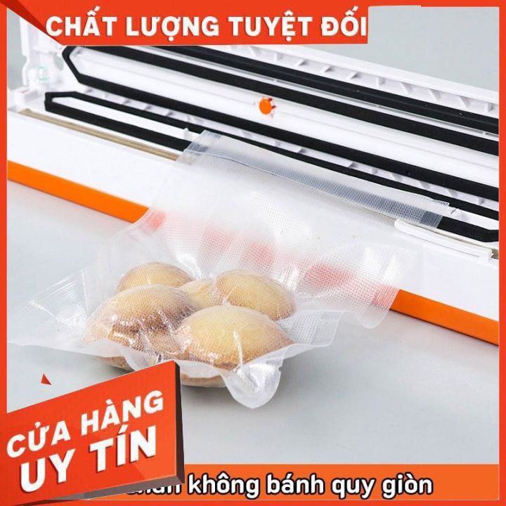 máy hút chân không, máy hút chân không thực phẩm mini kiêm hàn miệng túi