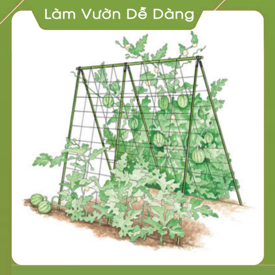 (DEAL SỐC) GIÀN LEO TRỒNG RAU HÌNH CHỮ A - Cao 2m1 - Dùng làm Khung Đỡ, Giá Đỡ Hoa Hồng Leo, giàn leo bầu bí mướp