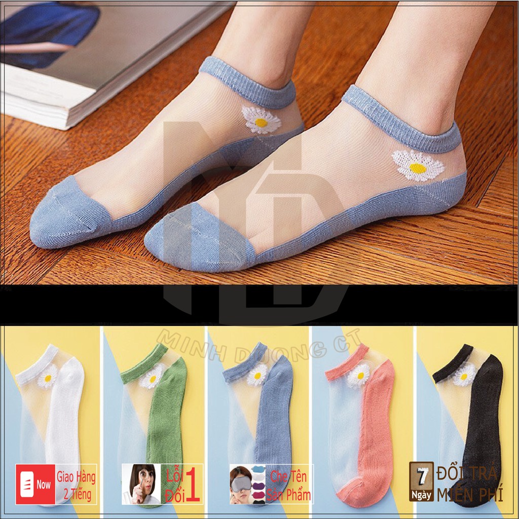 Tất Hoa Cúc Siêu Dễ Thương COMBO TÚI 10 CÁI