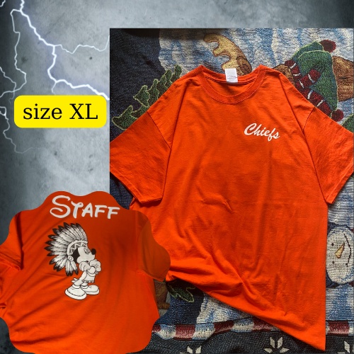 Áo thun mỹ bigsize , áo phông mỹ 2hand nam nữ chất cotton, phong cách unisex