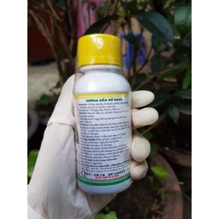 {HOT} Phân bón lá Amino Quelant-Fe biến vàng thành xanh, khắc phục hiện tượng thiếu sắt cho cây cảnh