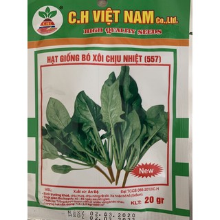 HẠT GIỐNG RAU CẢI BÓ XÔI