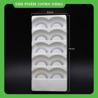 Mi tập nối , mi giả tập nối mi
