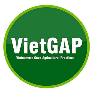 Gạo Điền Tín R24 ( 5KG)