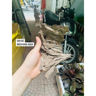 Lũa san đá miếng và cành