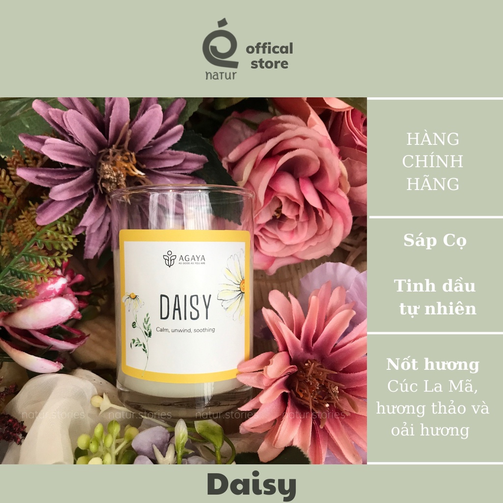 Nến thơm AGAYA Daisy thư giãn từ Cúc La Mã, Hương thảo và Oải hương, tuyết tùng, có thể làm quà tặng cho bạn bè
