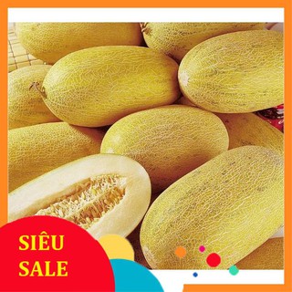 10 Hạt giống Dưa lưới oval (lõi vàng) (tặng gói kích nẩy mầm và hướng dẫn) VIETPHAT