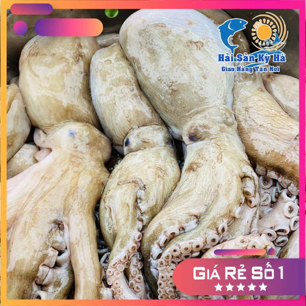 Giá Sỉ - Bạch Tuộc  - Q12