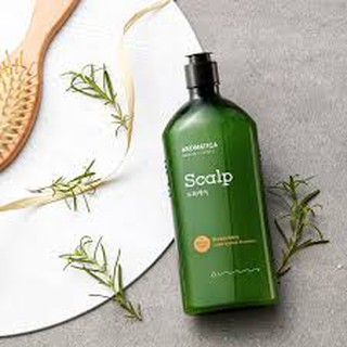 [Tóc gàu, da đầu dầu] Dầu gội chăm sóc da dầu chiết xuất hương thảo Aromatica Rosemary Scalp Scaling Shampoo 250ml
