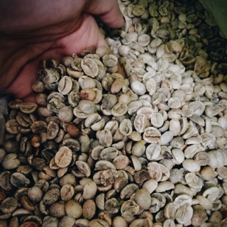 1KG CAFE NHÂN SỐNG ARABICA - ROBUSTA size 18