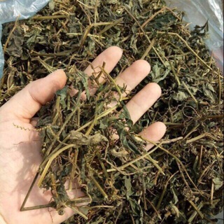 1Kg Giảo cổ lam hoà bình( chuẩn 100% nguyên chất)
