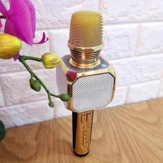 Micro Karaoke Kiêm Loa Bluetooth Sd10 Chính hãng