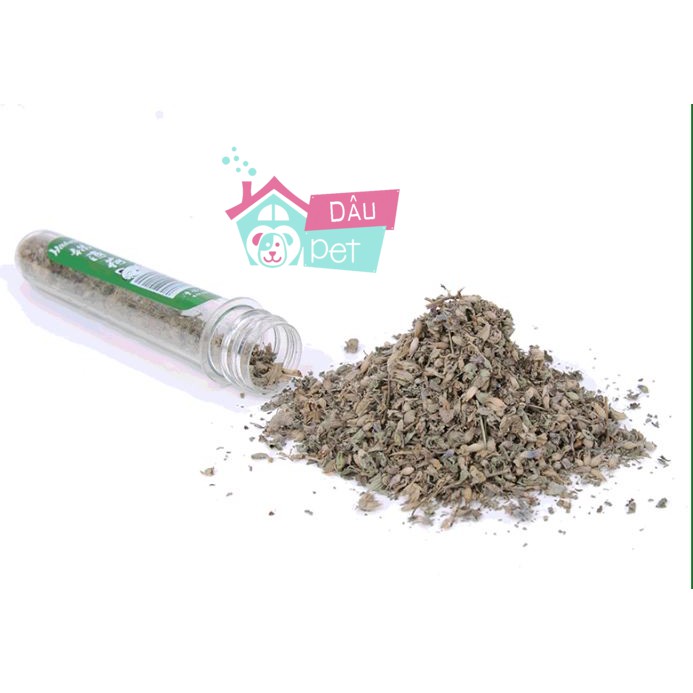 Cỏ bạc hà - Catnip cho mèo