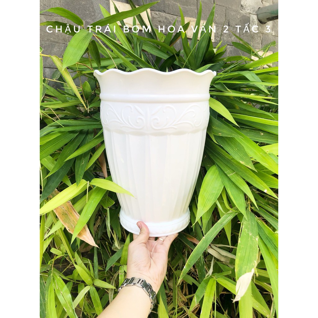 Chậu nhựa trái bom