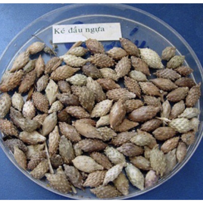 500g Quả Ké đầu ngựa khô loại 1( không có lông)