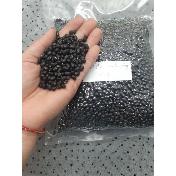 Đỗ đen xanh lòng Cao Bằng giống thuần trồng tự nhiên không phân thuôc