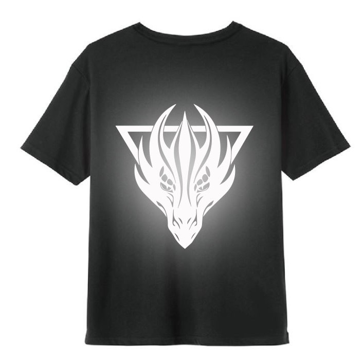 Áo Thun, Áo Thun Tay Lỡ Phom Rộng Unisex In Hình Dragon, In Decal Phản Quang Siêu Đẹp, Siêu Ngầu | BigBuy360 - bigbuy360.vn
