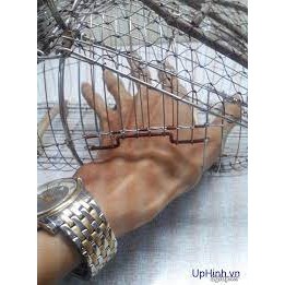 Lồng bẫy khuyên inox siêu nhạy không rỉ cao cấp