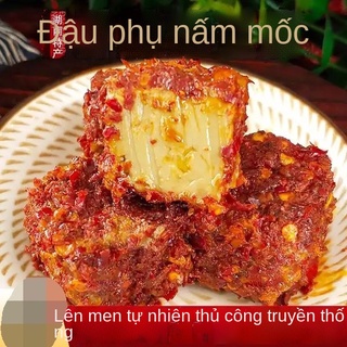 UJiuxin School Food Notes Hồ Nam Specialty Spicy Lên men Đậu phụ tự nhiên đúc 240g / lon